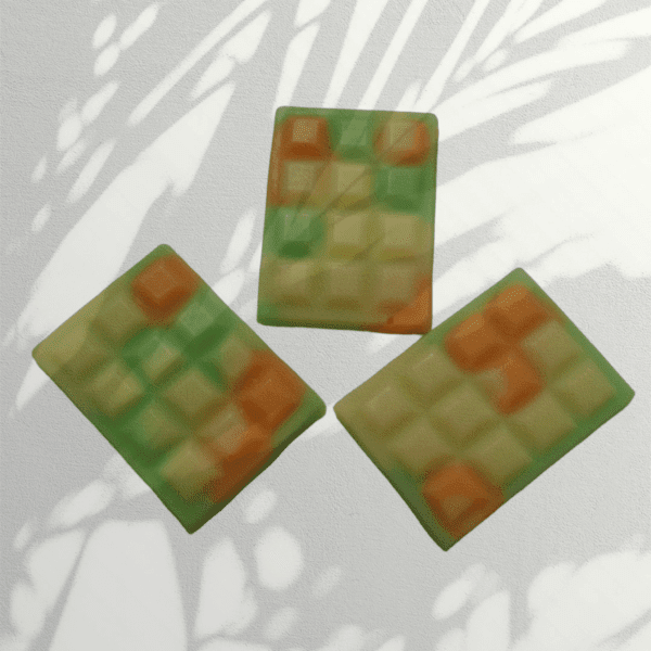 tropical paradise mini wax melts
