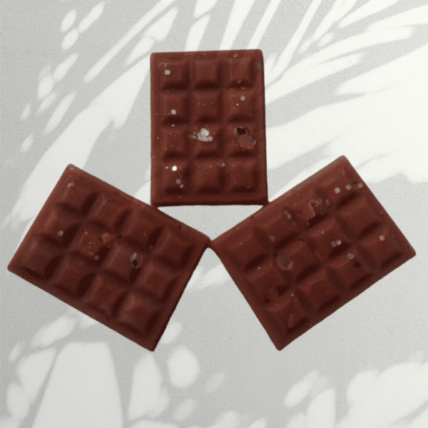 sponge pudding mini wax melts