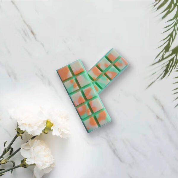 tropical paradise wax melt snap bars