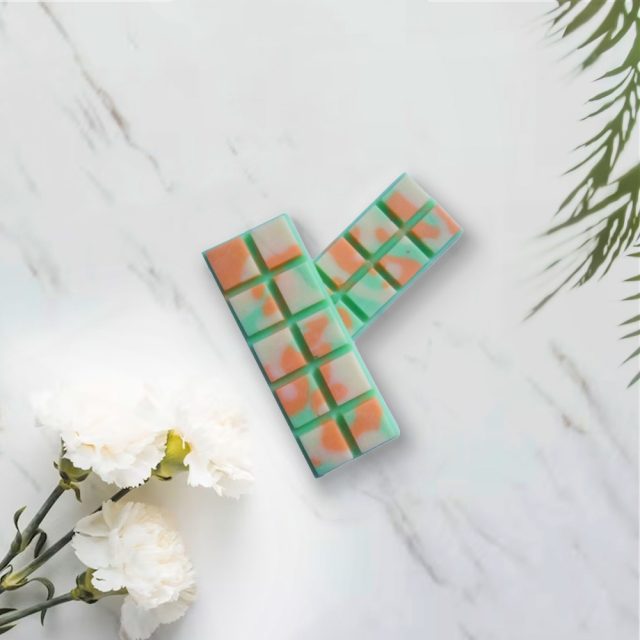 Tropical Paradise Wax Melt Snap Bars